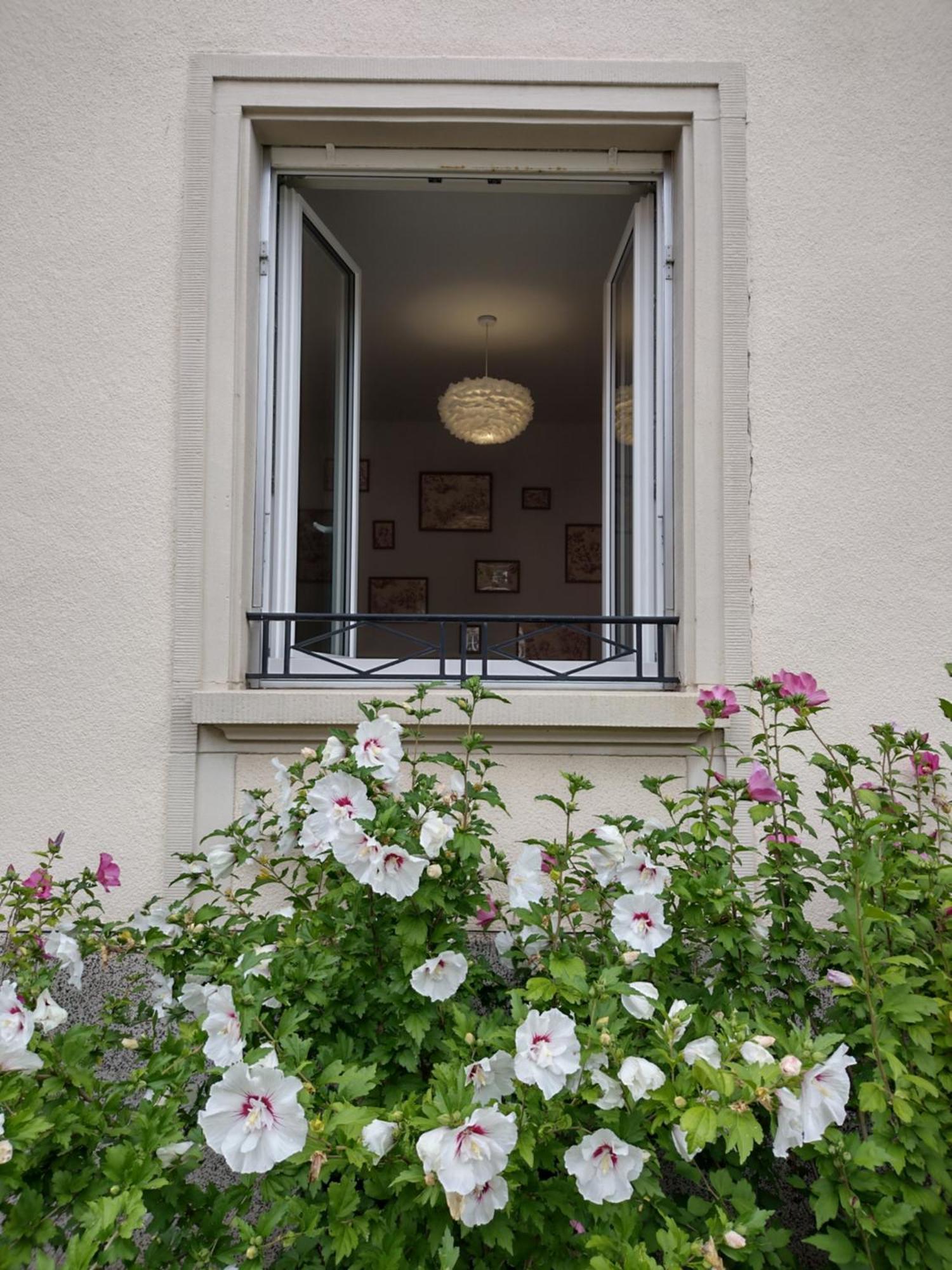 Apartment Madame Du Barry - Proche Gare, Zenith Et Chu Straßburg