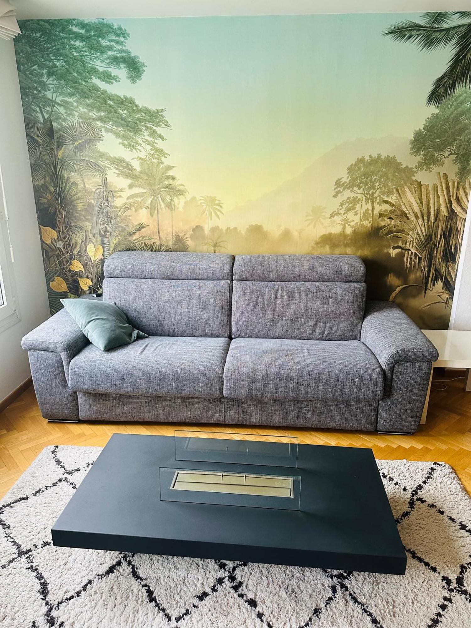 Appartement - Krutenau Strasbourg