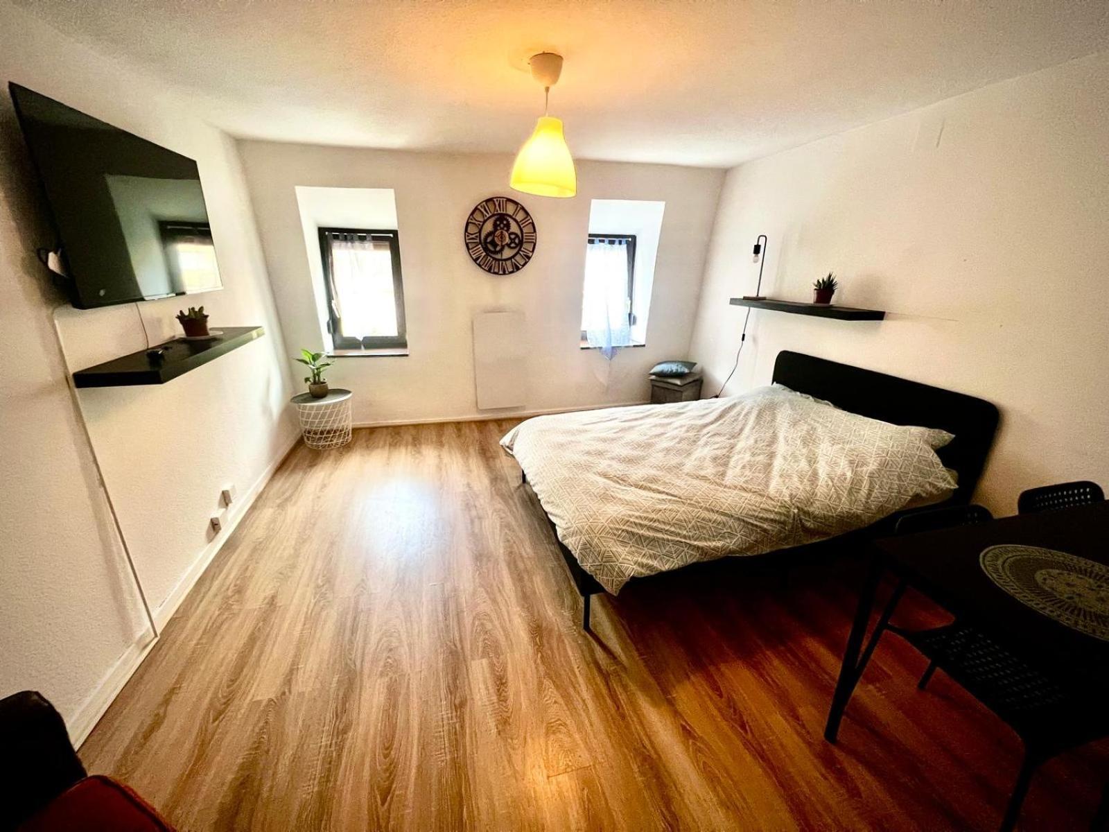 T1 Confort Aux Porte De Appartement Straatsburg