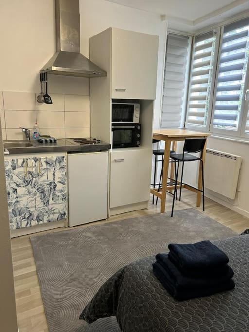 Proche Du Centre-ville Appartement Strasbourg