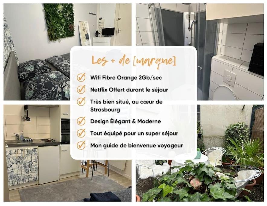 Proche Du Centre-ville Appartement Strasbourg