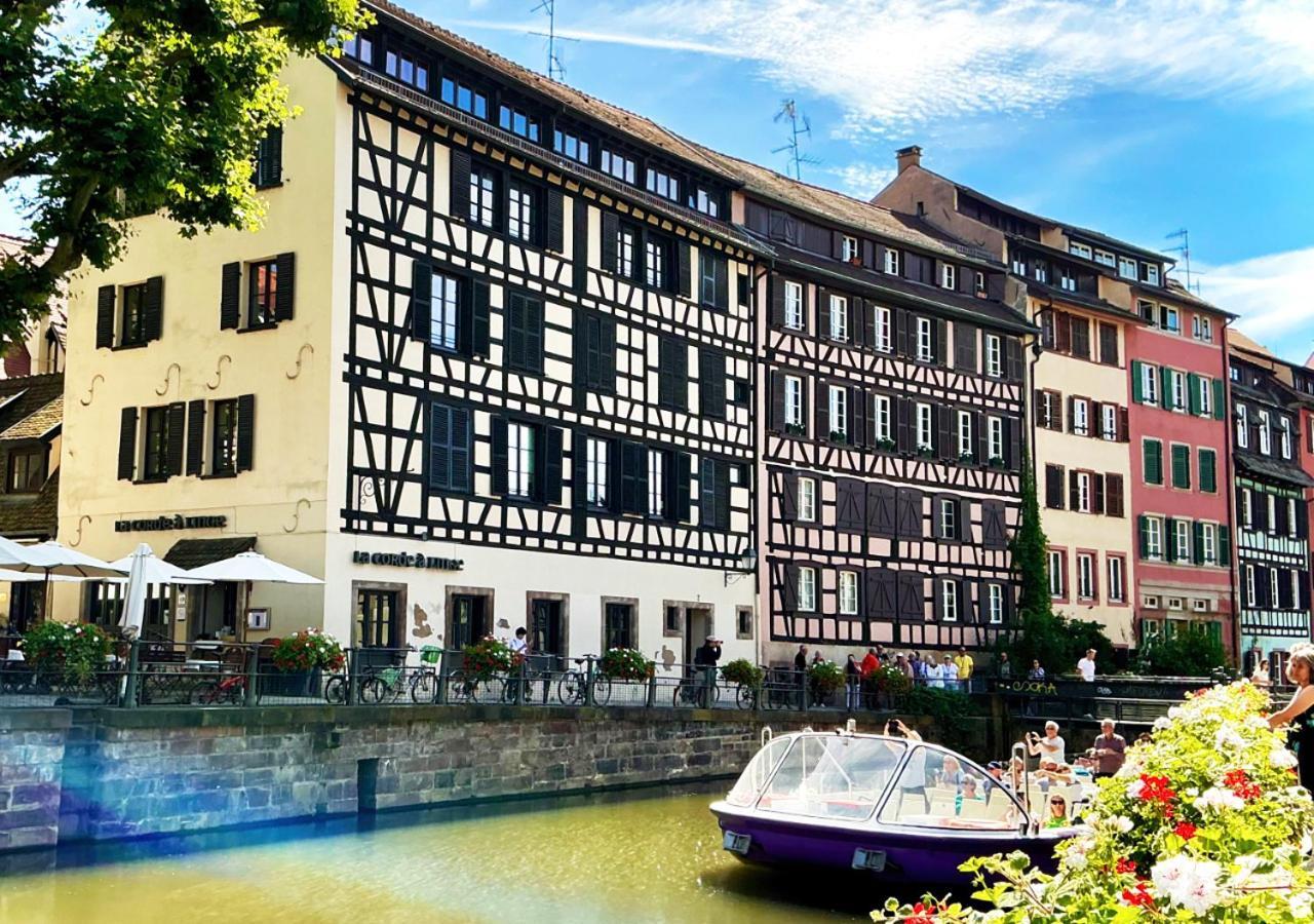 Lumineux Classe Au Coeur De Apartment Strasbourg
