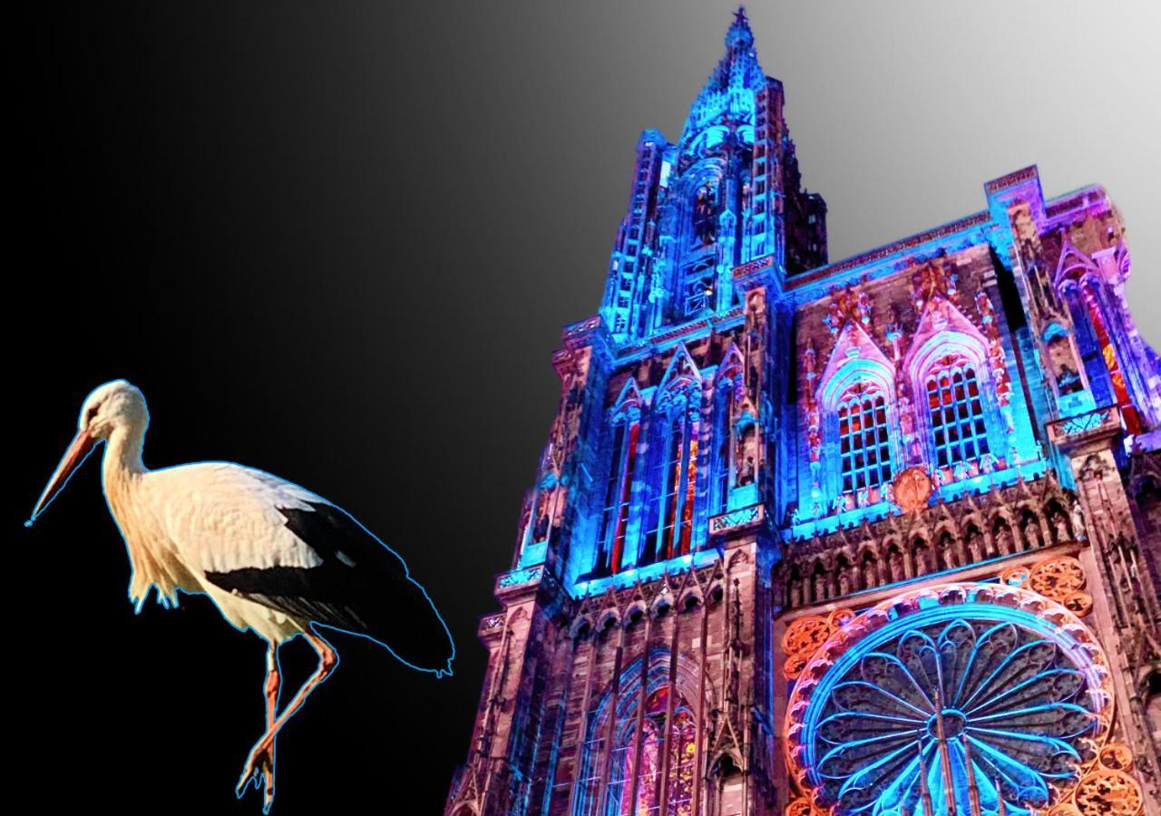 Lumineux Classe Au Coeur De * Strasbourg