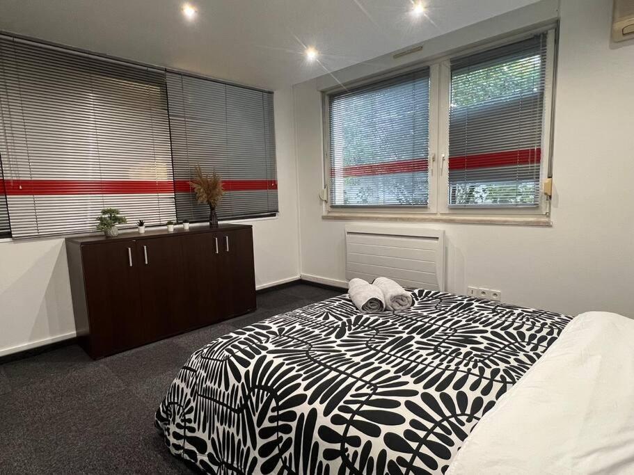 Charmant Appartement Strasbourg Apartment Straßburg