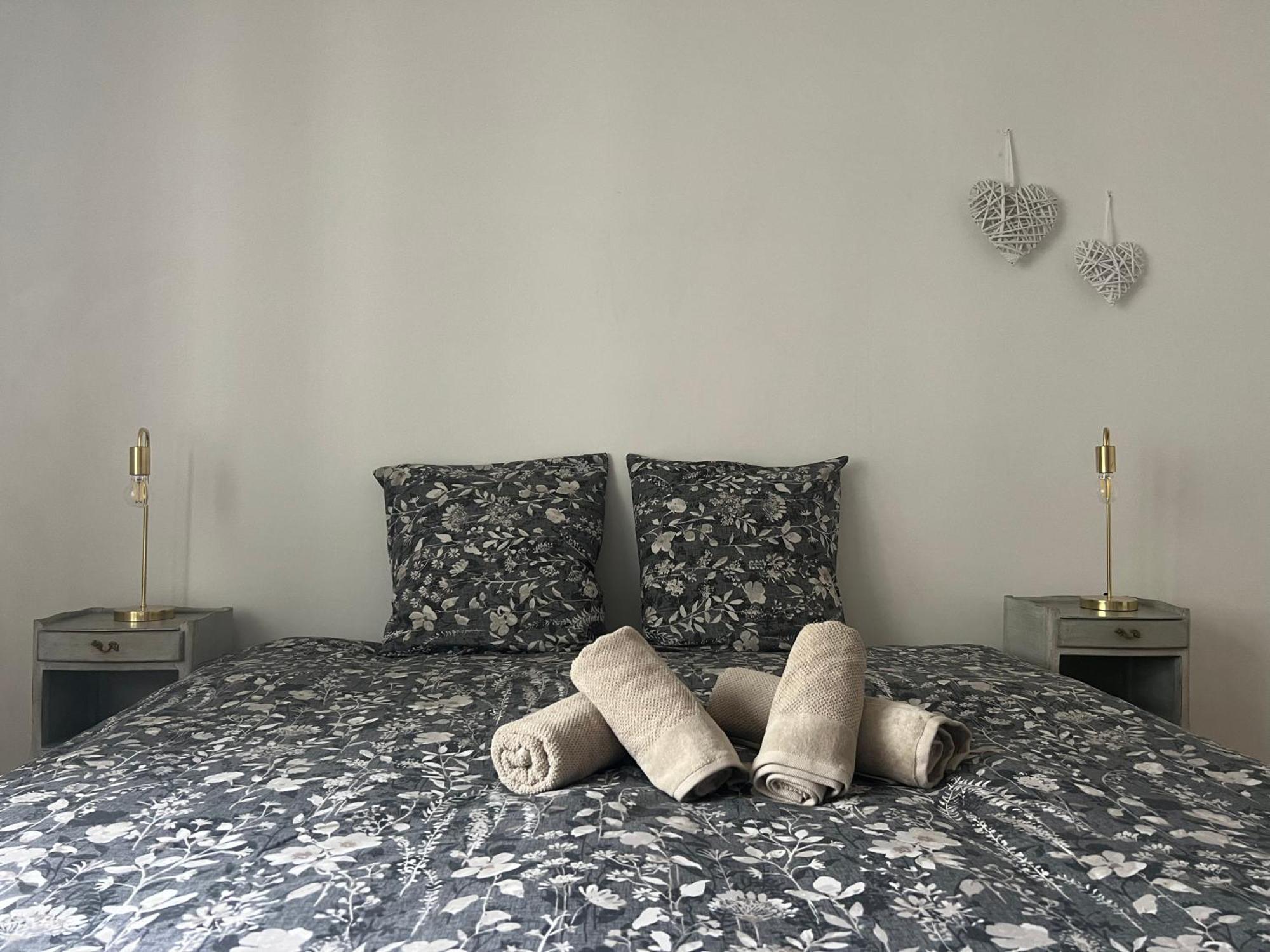 Spacieux 2 Pieces Hypercentre Appartement Strasbourg
