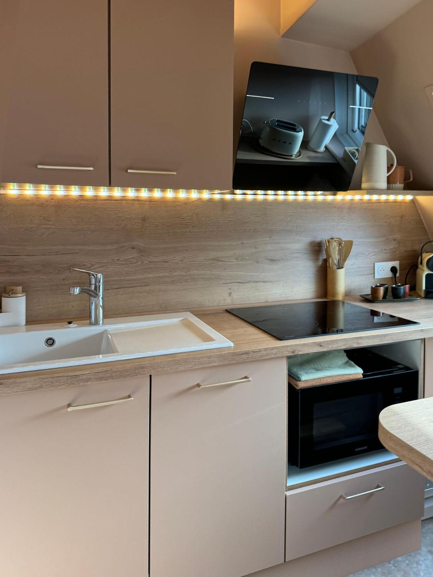 Apartment Le Petit Zix - Cosy Et Terrasse, Petite France Straßburg