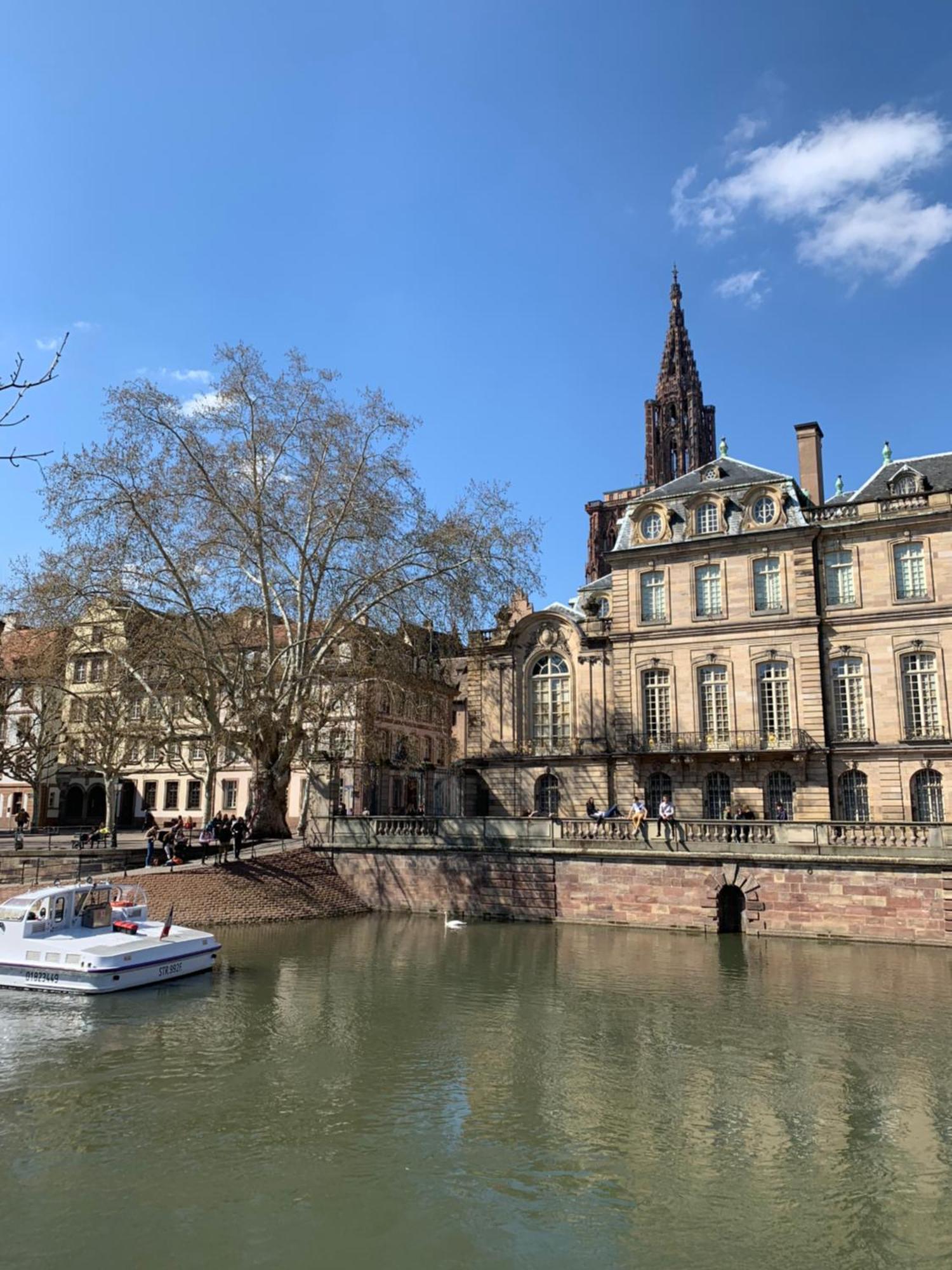 Cosy Centre Appartement Strasbourg