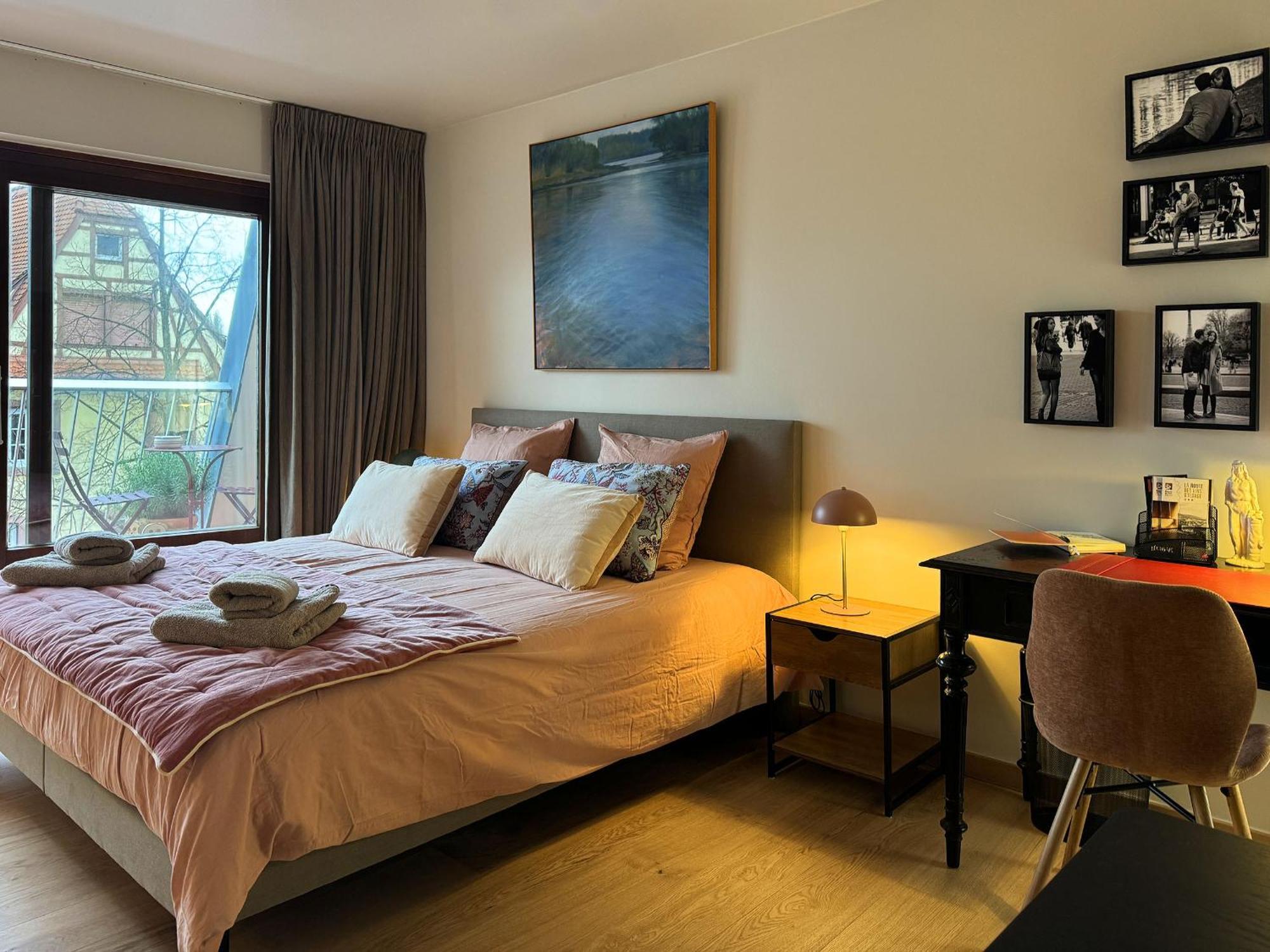 Le Petit Zix - Cosy Et Terrasse, Petite France Apartment *