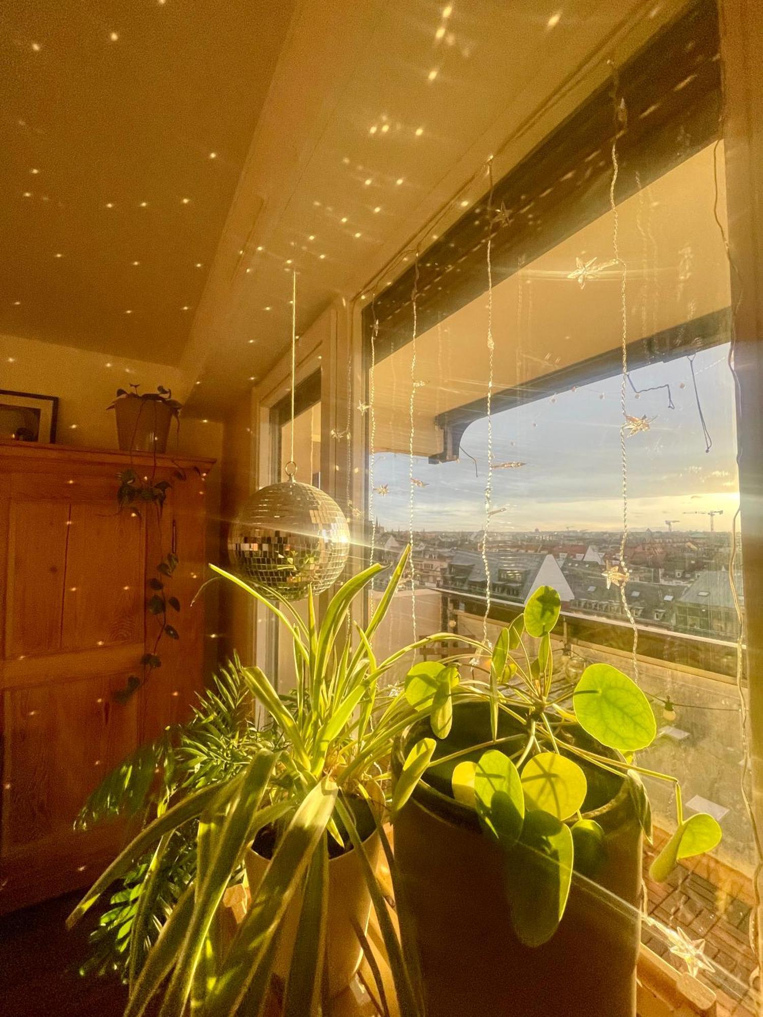 Appartement Petit Nid Strasbourgeois