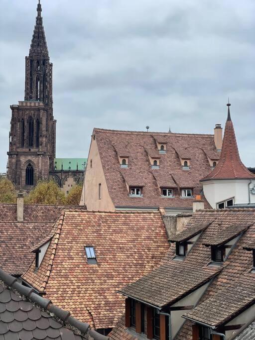 Le Petit Batelier - - Vue Cathedrale * Strasbourg