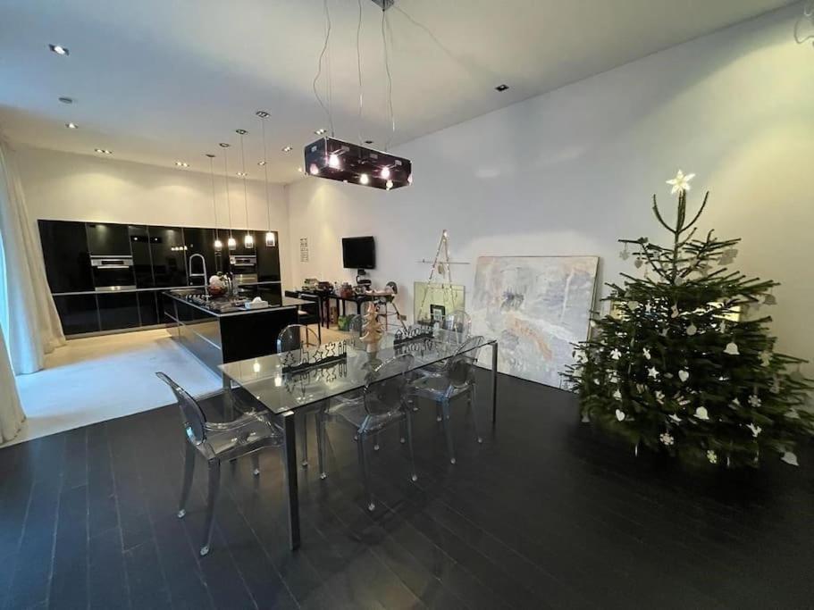 Appartement Appartement-maison Petite France