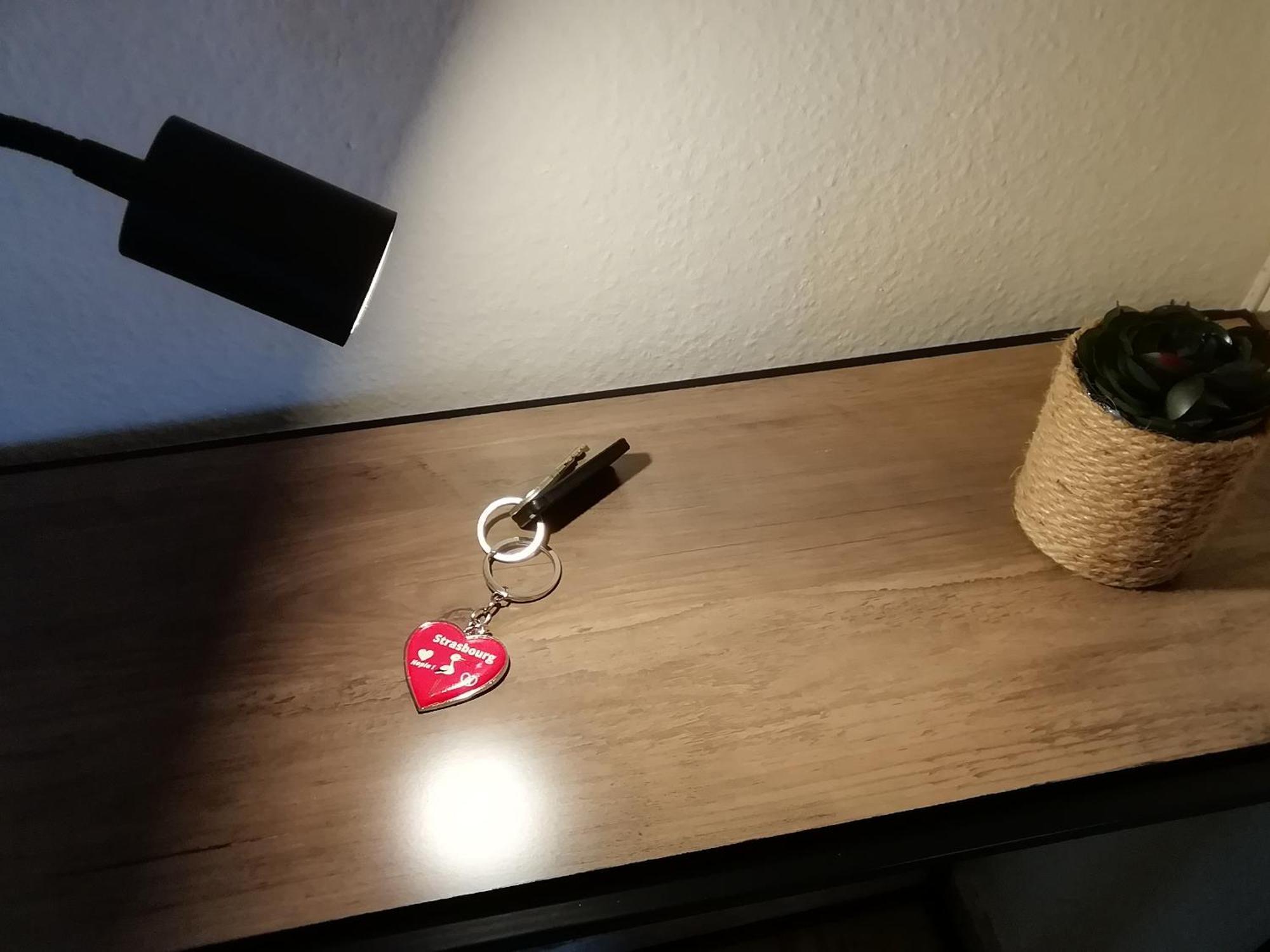 Prox Parlement Et Centre Fibre 2 Ou 5 Personnes Appartement Strasbourg