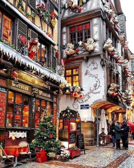 Cosy Au Centre-ville * Strasbourg