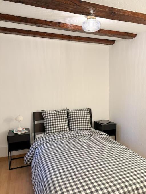 Appartement Cosy Au Centre-ville *