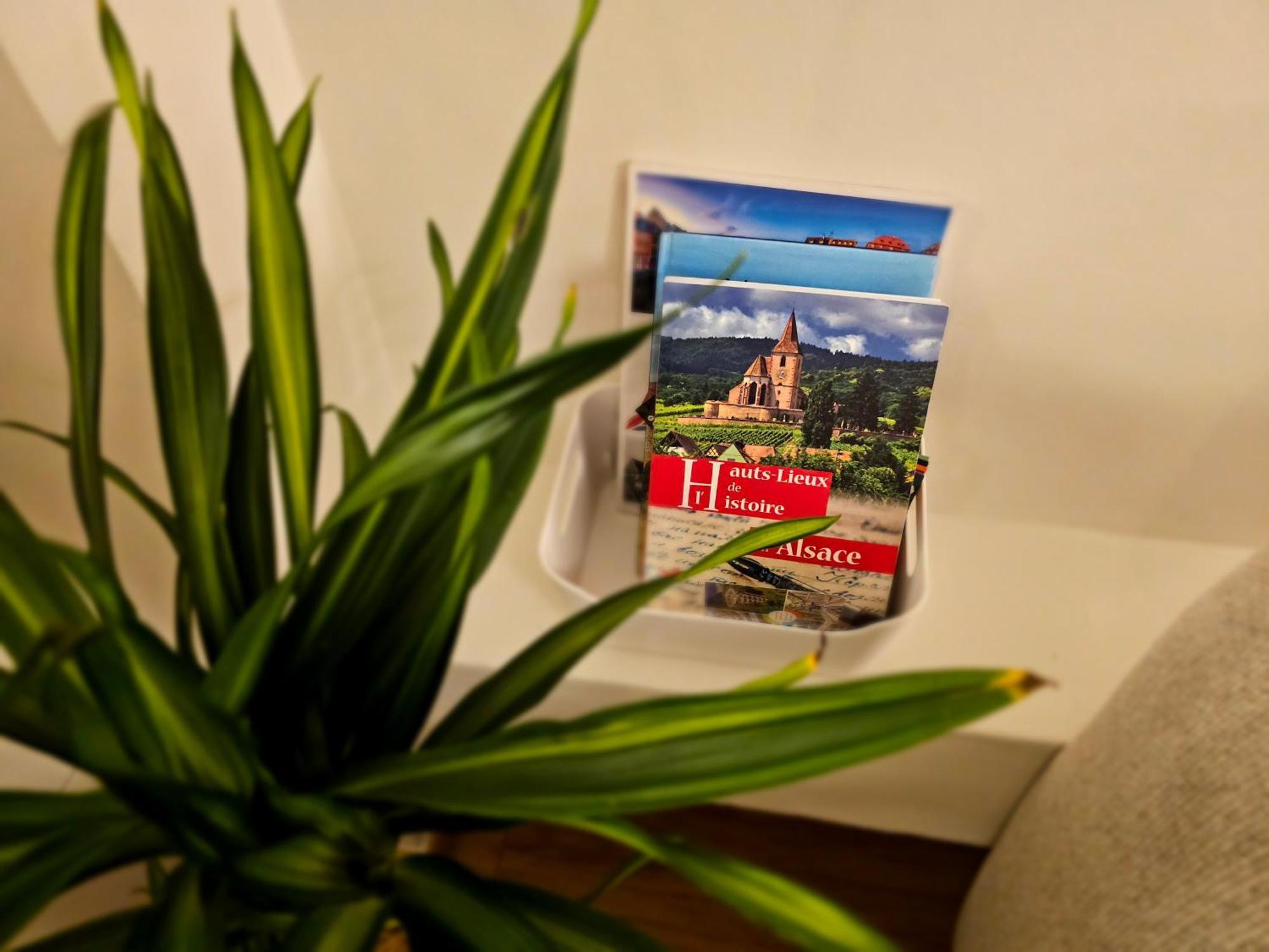Appartement Confort Proche Gare Et Centre-ville Strasbourg