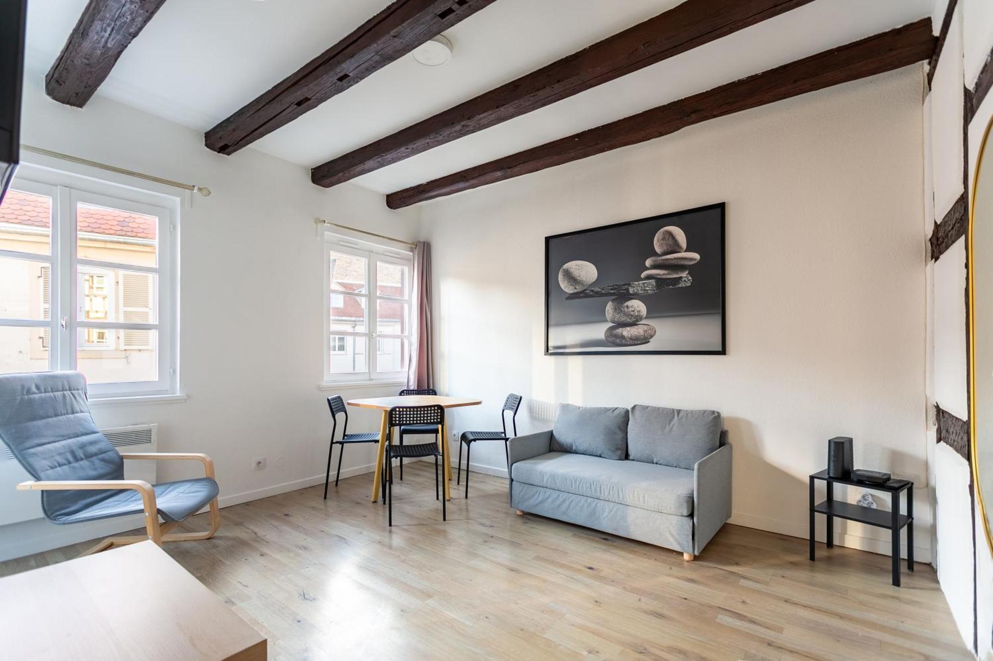 Au Centre De Apartment *