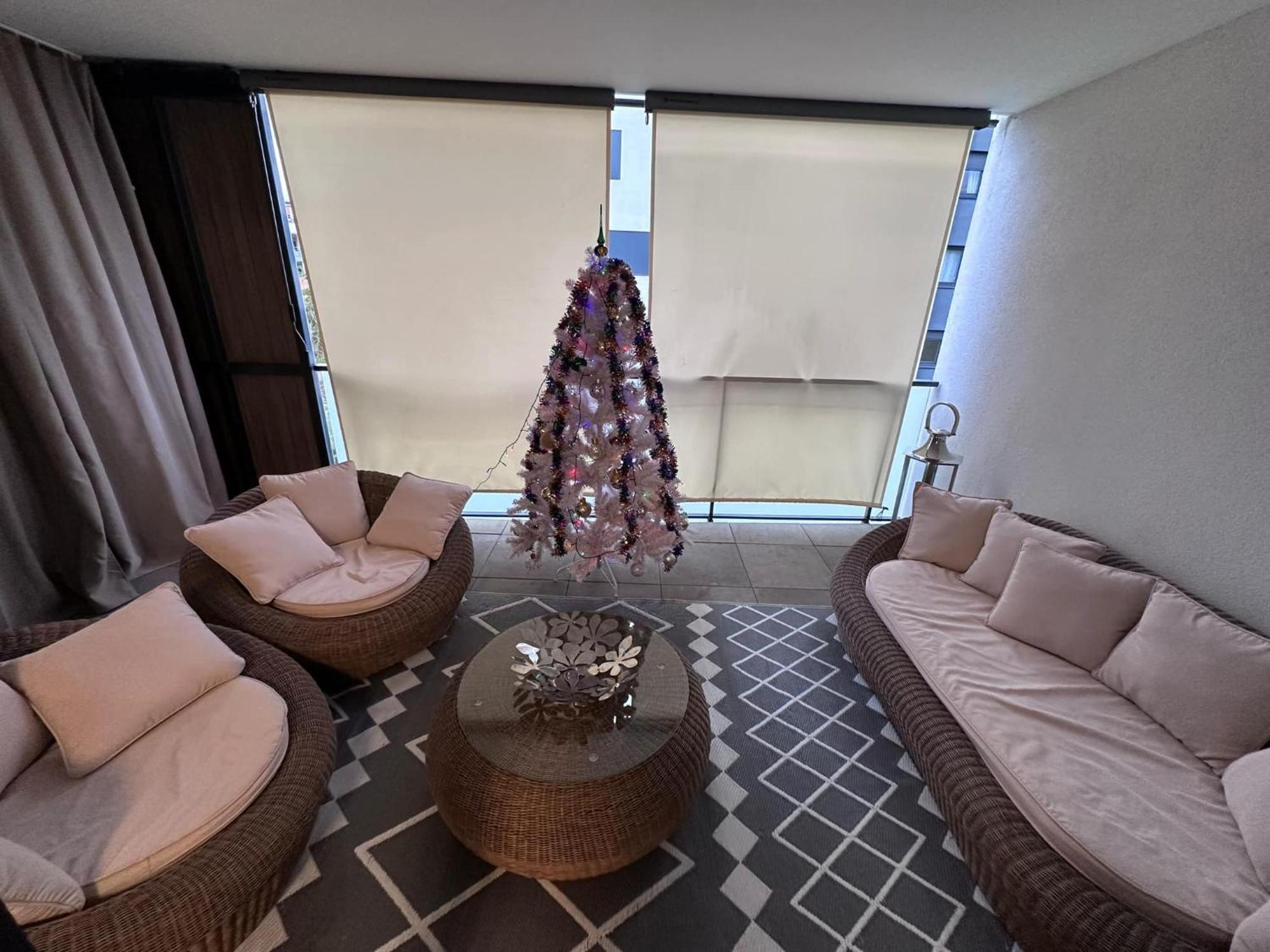 Appartement Grande Terrasse Parking Prive Strasbourg