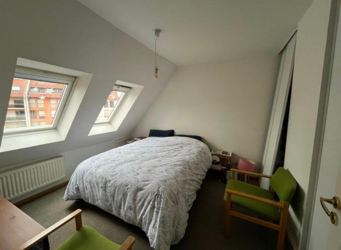 Grand Sous Les Toits Appartement *