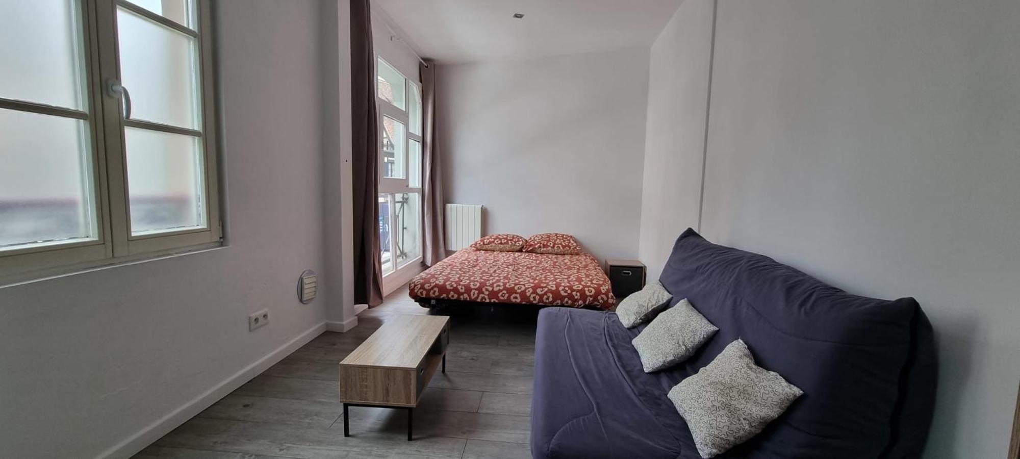 Flat At The Gate Of Petite France Apartment Strasbourg