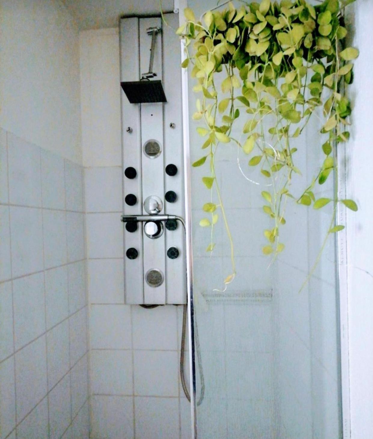 Centre Proche Gare Apartment *