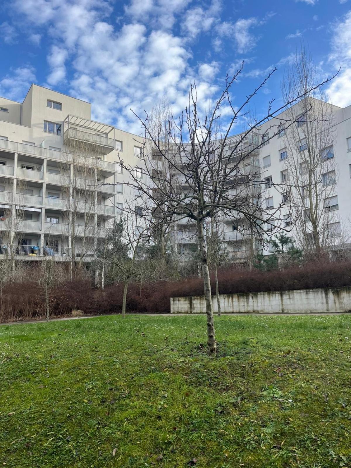 Cozy Near Tram - Center Appartement *