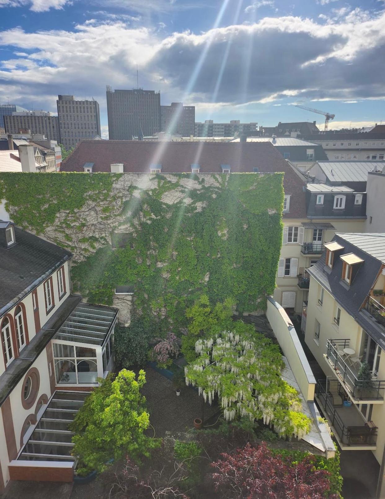 Appartement Strasbourg Ville Apartment