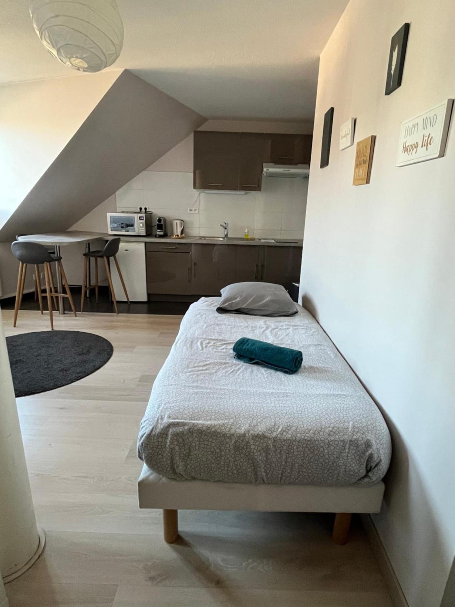 Centre Appartement Straatsburg