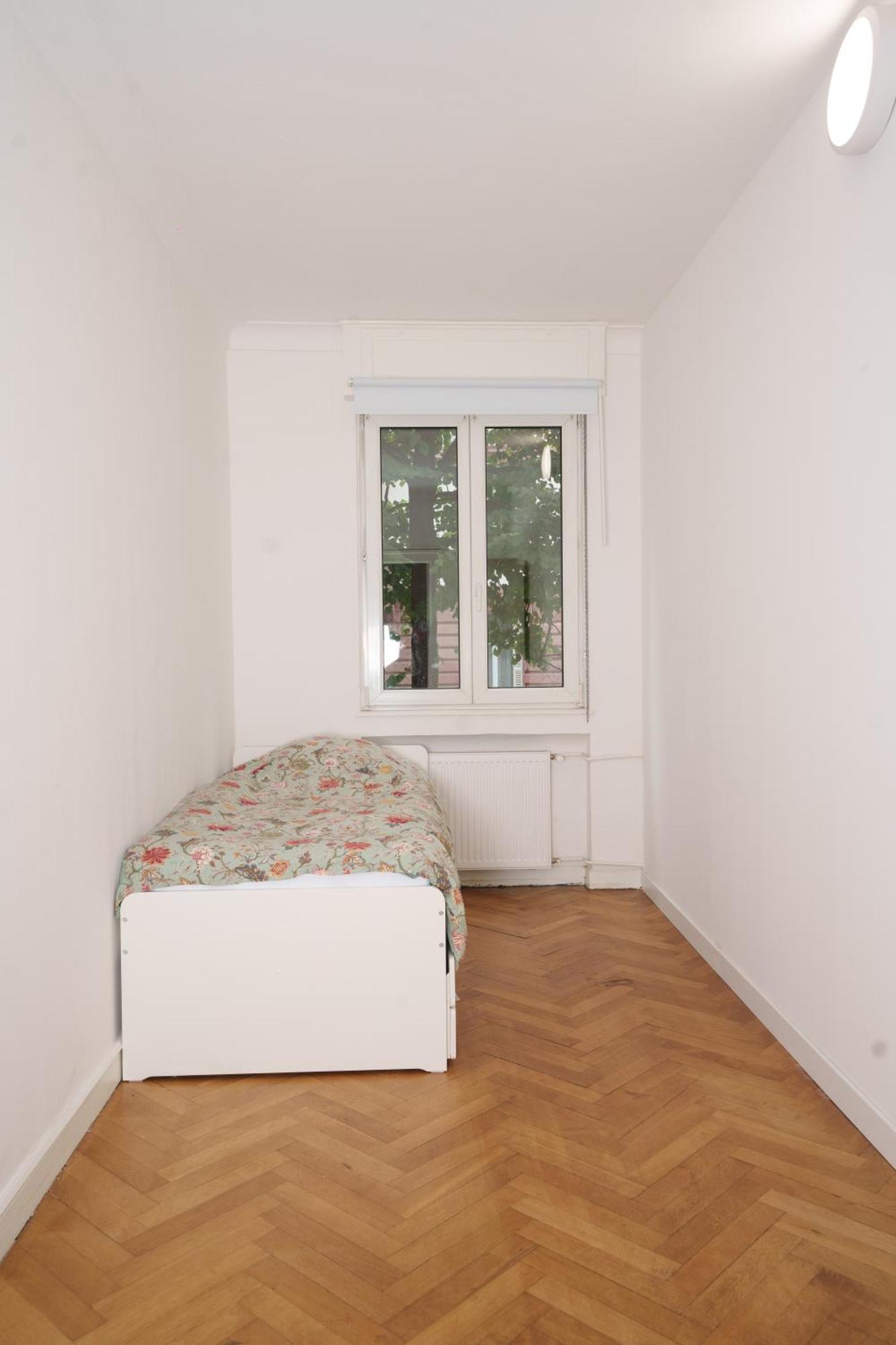Grand Spacieux Appartement Strasbourg