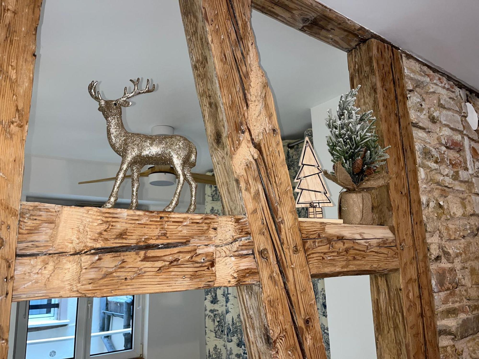 Appartement Cathedrale Straatsburg