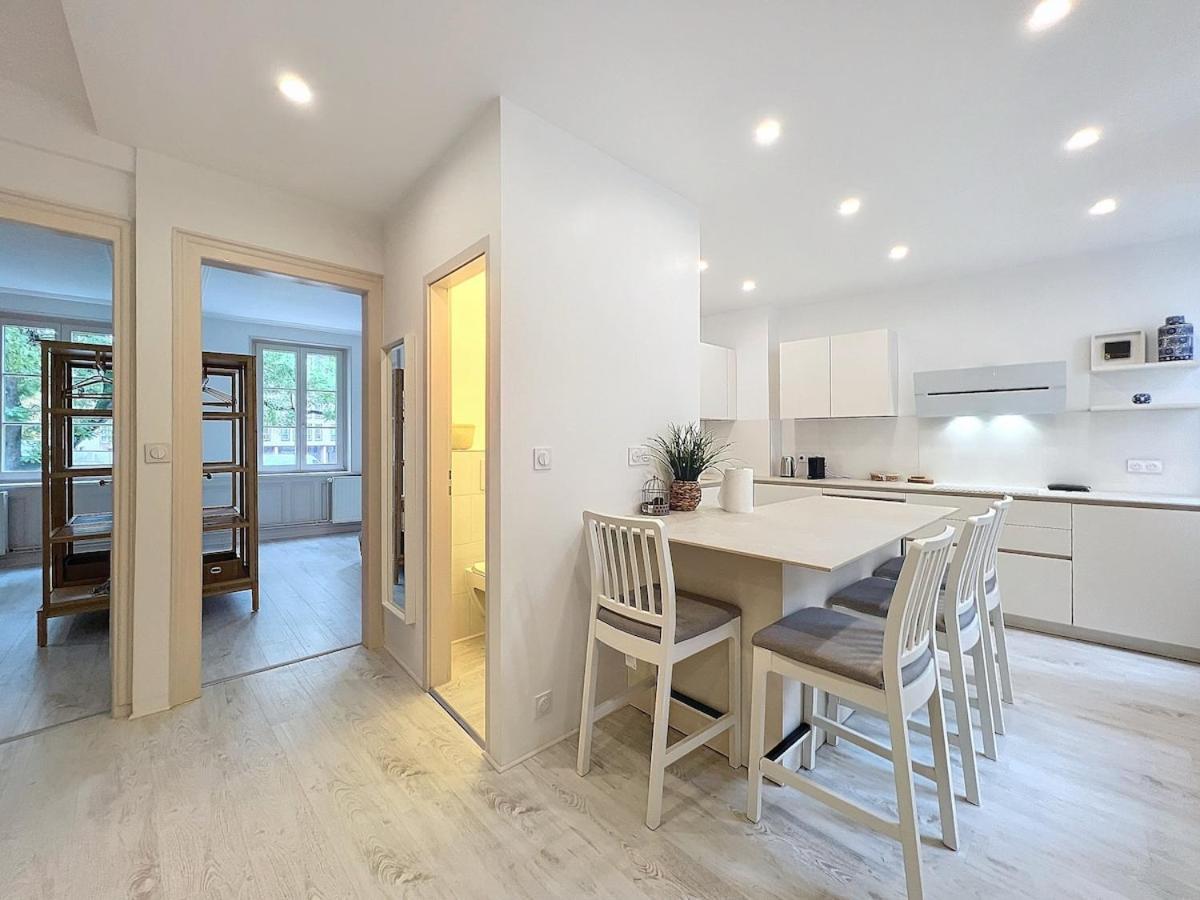 Spacious 2 Bedroom Petite France Appartement Straatsburg