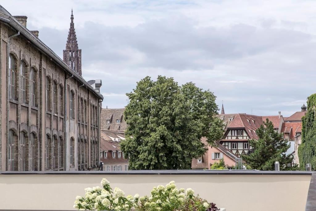 L'academie - Magnifique 3 Krutenau Avec Parking Strasbourg