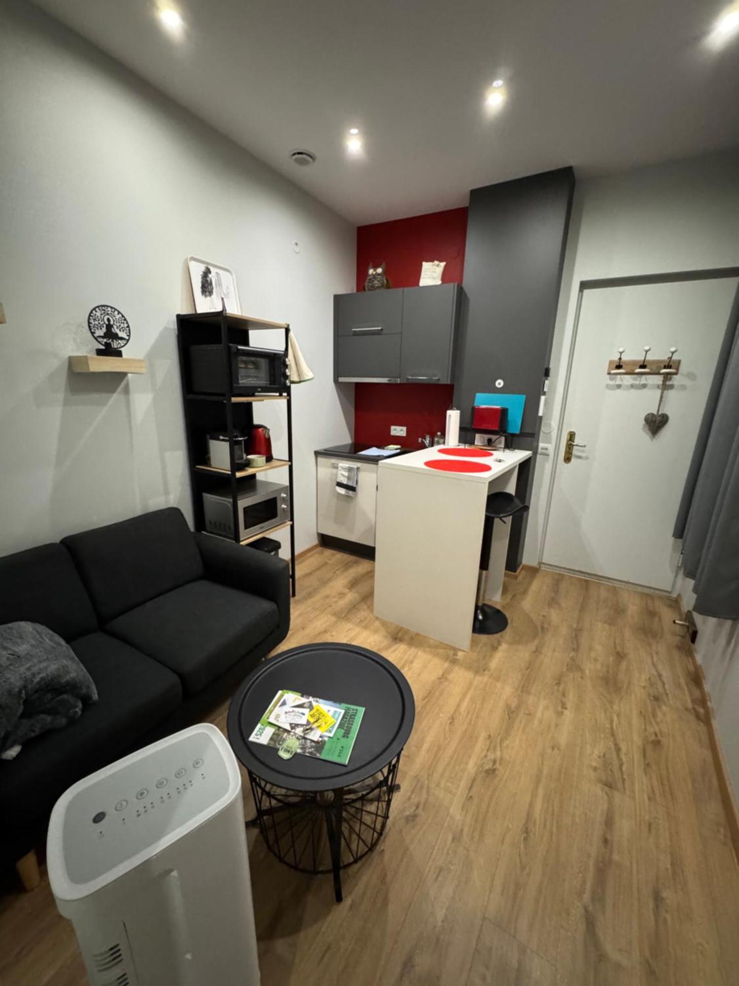 De L'epine Appartement Strasbourg