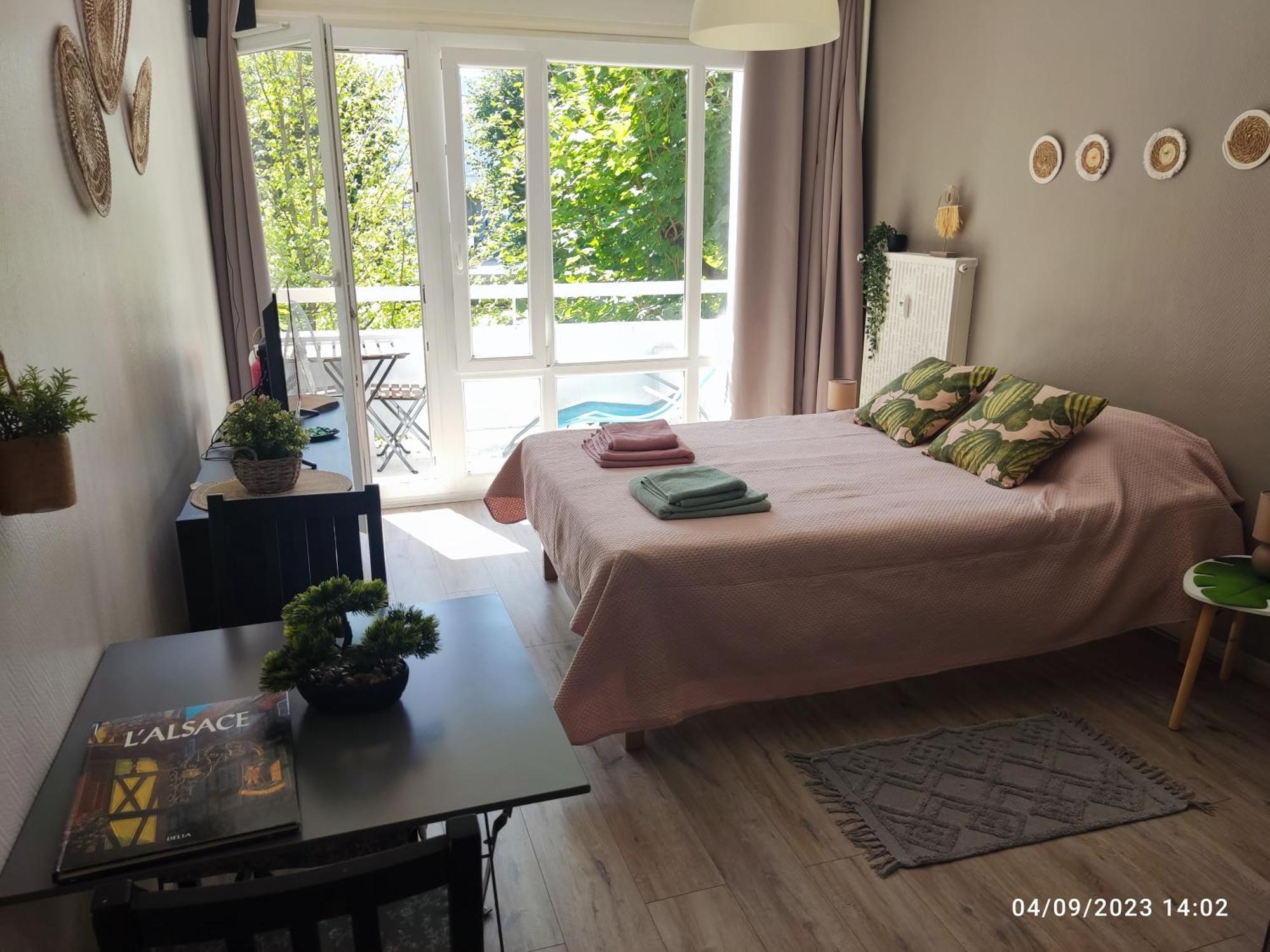 Kleber+ Parking+ Balcon Apartment Straßburg