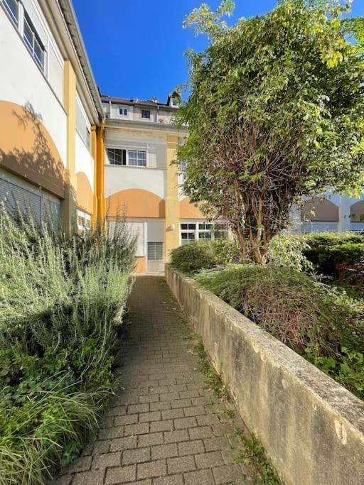 Le Cosy' Moderne - Proche Musee D'art Moderne Appartement Straatsburg