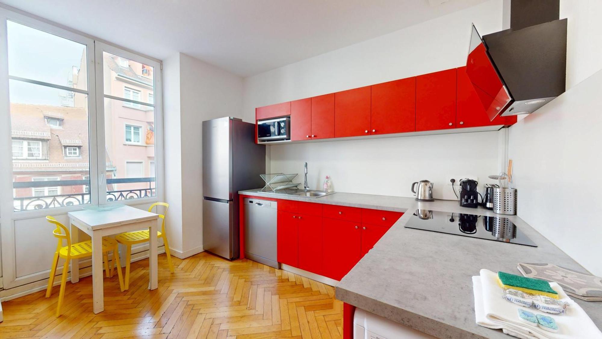 Apartment Rue Du 22 Novembre Straßburg