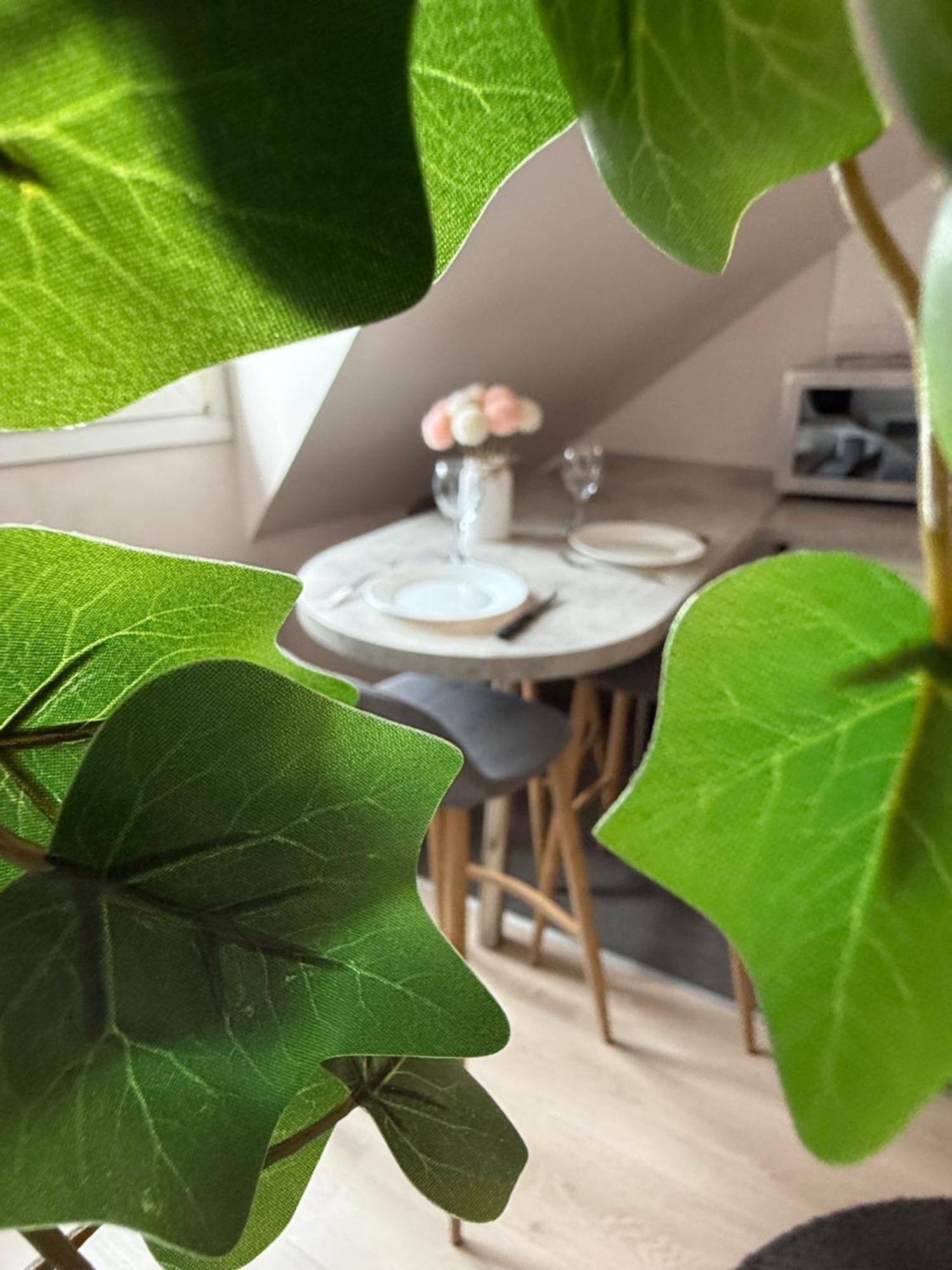 Centre Appartement Straatsburg