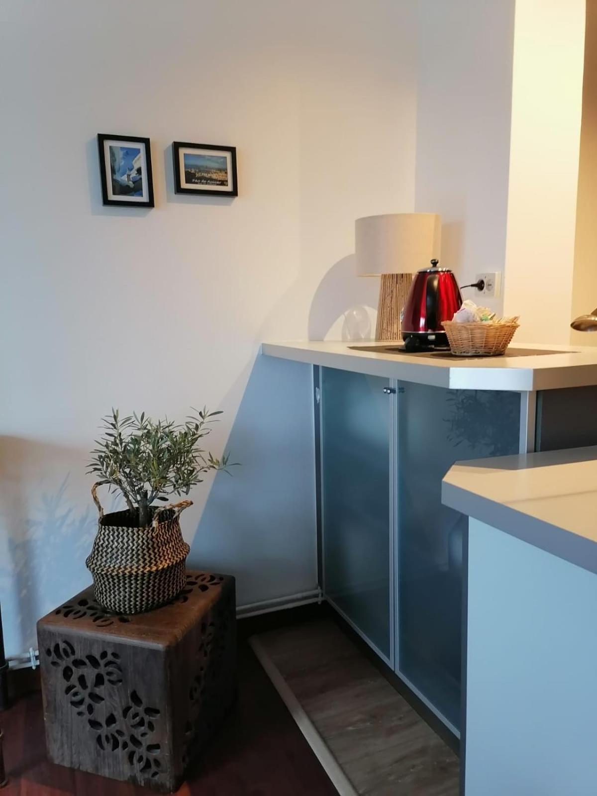 Appartement Terrasse
