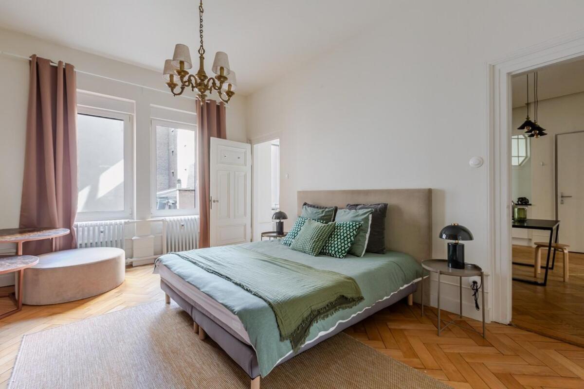 Superbe De Maitre Appartement Strasbourg