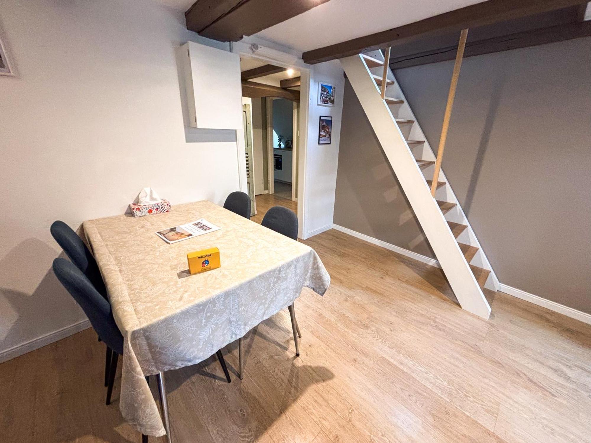 L'harmonie Des Combles - Proche Gare - Petite France - Commerces A Proximite Appartement Strasbourg
