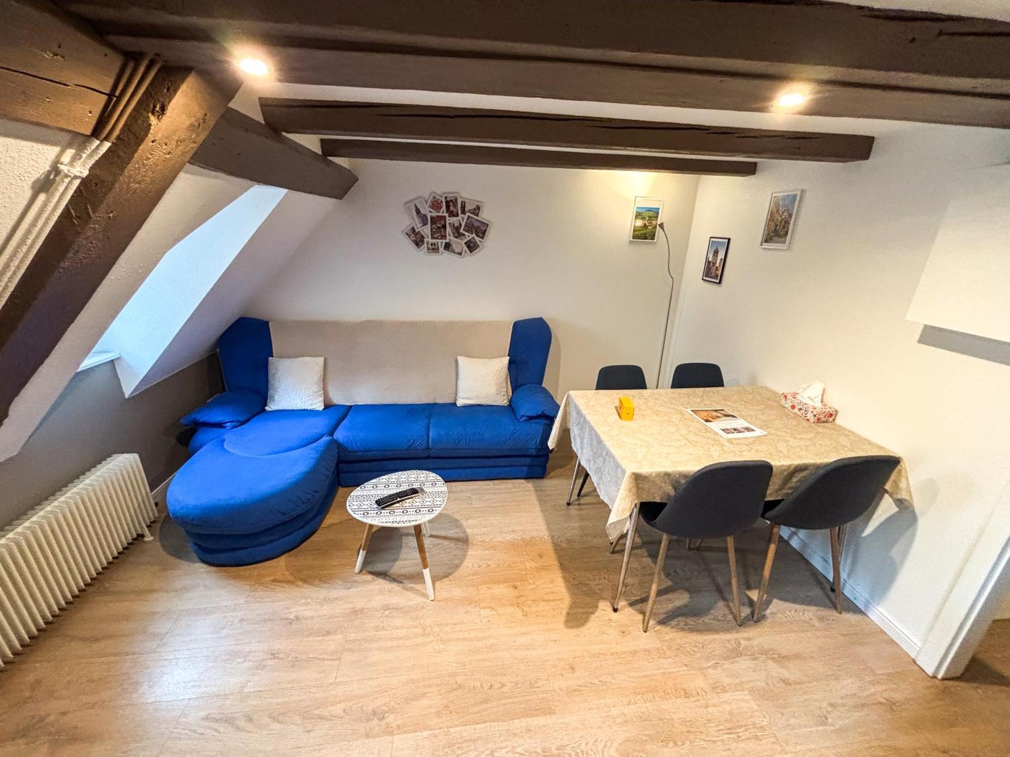 L'harmonie Des Combles - Proche Gare - Petite France - Commerces A Proximite * Strasbourg