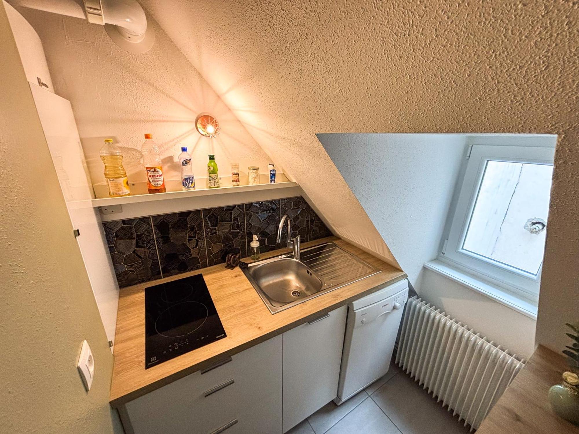 L'harmonie Des Combles - Proche Gare - Petite France - Commerces A Proximite Appartement