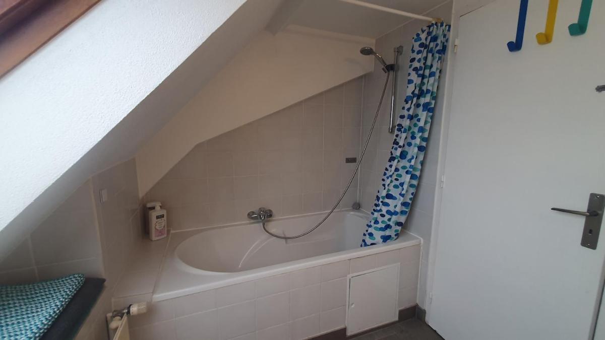 Mon Ptit Nid T3 Duplex Au Coeur De La Krutenau Appartement *
