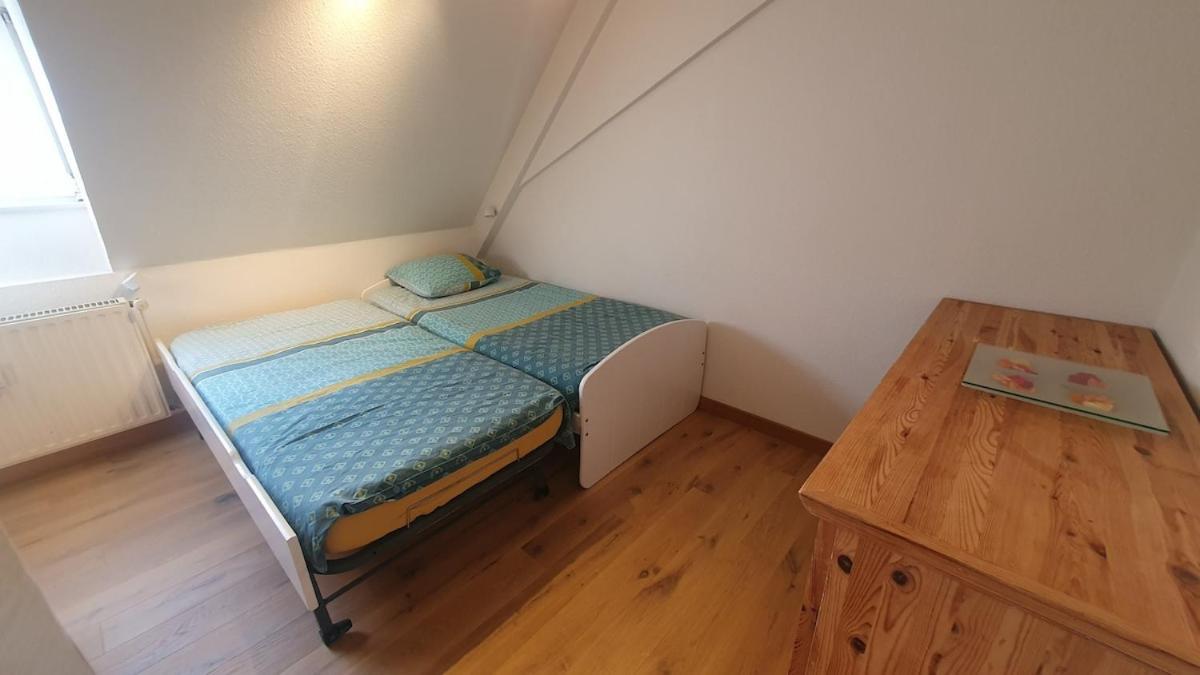 Mon Ptit Nid T3 Duplex Au Coeur De La Krutenau * Straatsburg