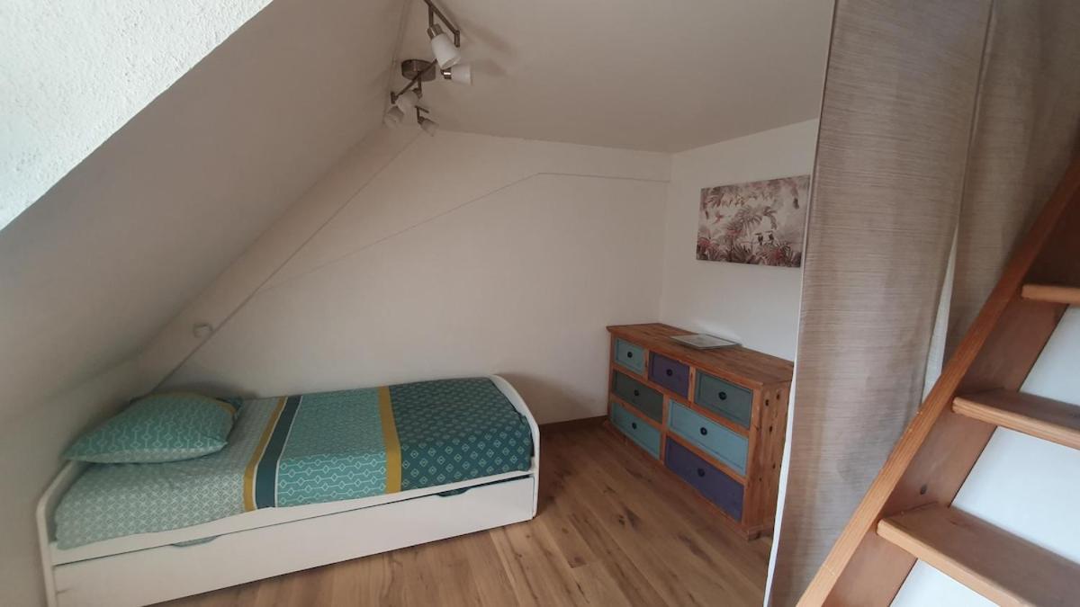 Mon Ptit Nid T3 Duplex Au Coeur De La Krutenau Appartement Straatsburg