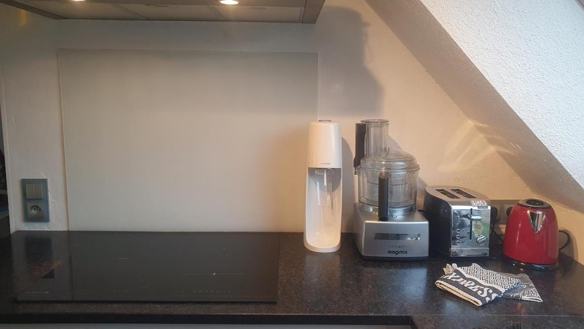 Appartement Mon Ptit Nid T3 Duplex Au Coeur De La Krutenau Straatsburg