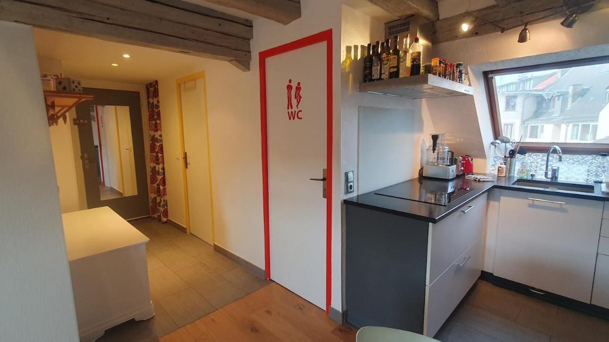 Mon Ptit Nid T3 Duplex Au Coeur De La Krutenau Straatsburg