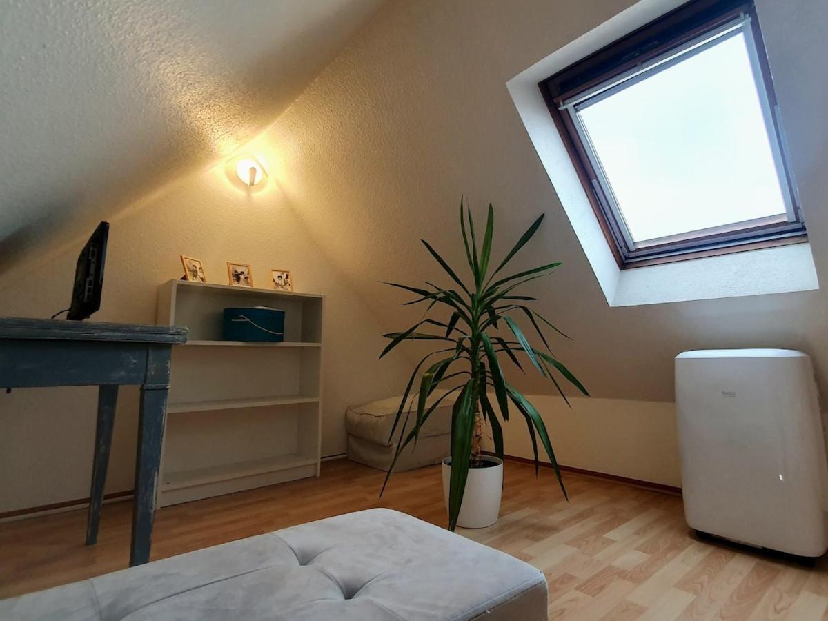 Mon Ptit Nid T3 Duplex Au Coeur De La Krutenau Appartement