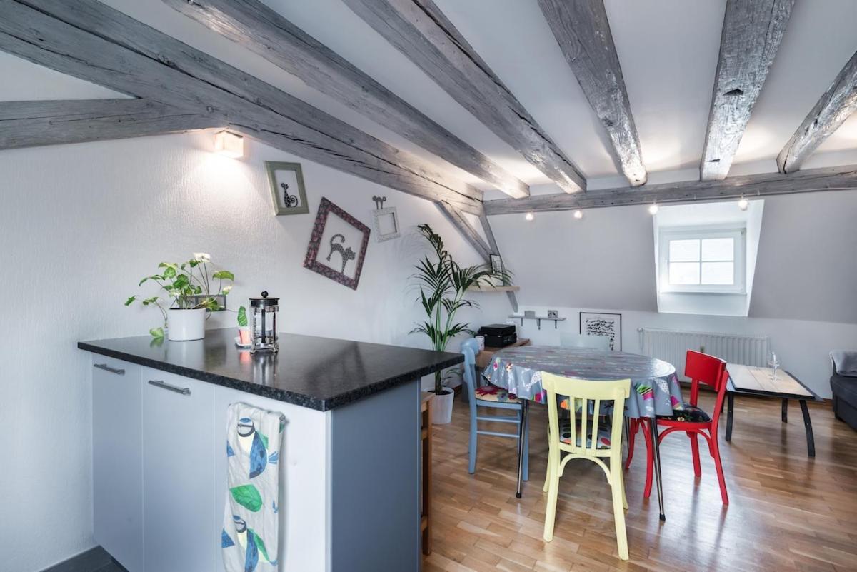 Mon Ptit Nid T3 Duplex Au Coeur De La Krutenau Appartement