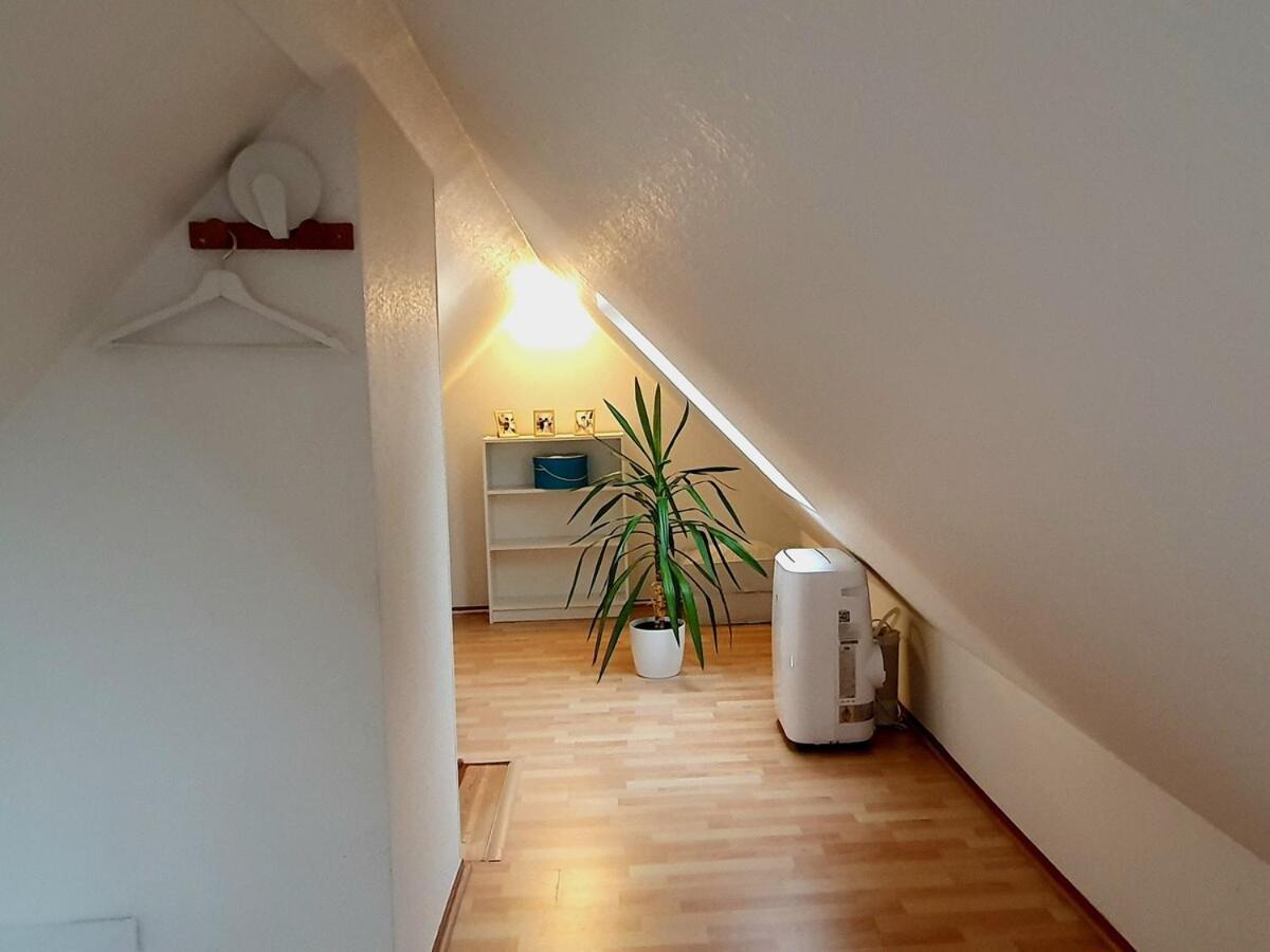 Mon Ptit Nid T3 Duplex Au Coeur De La Krutenau Appartement Straatsburg