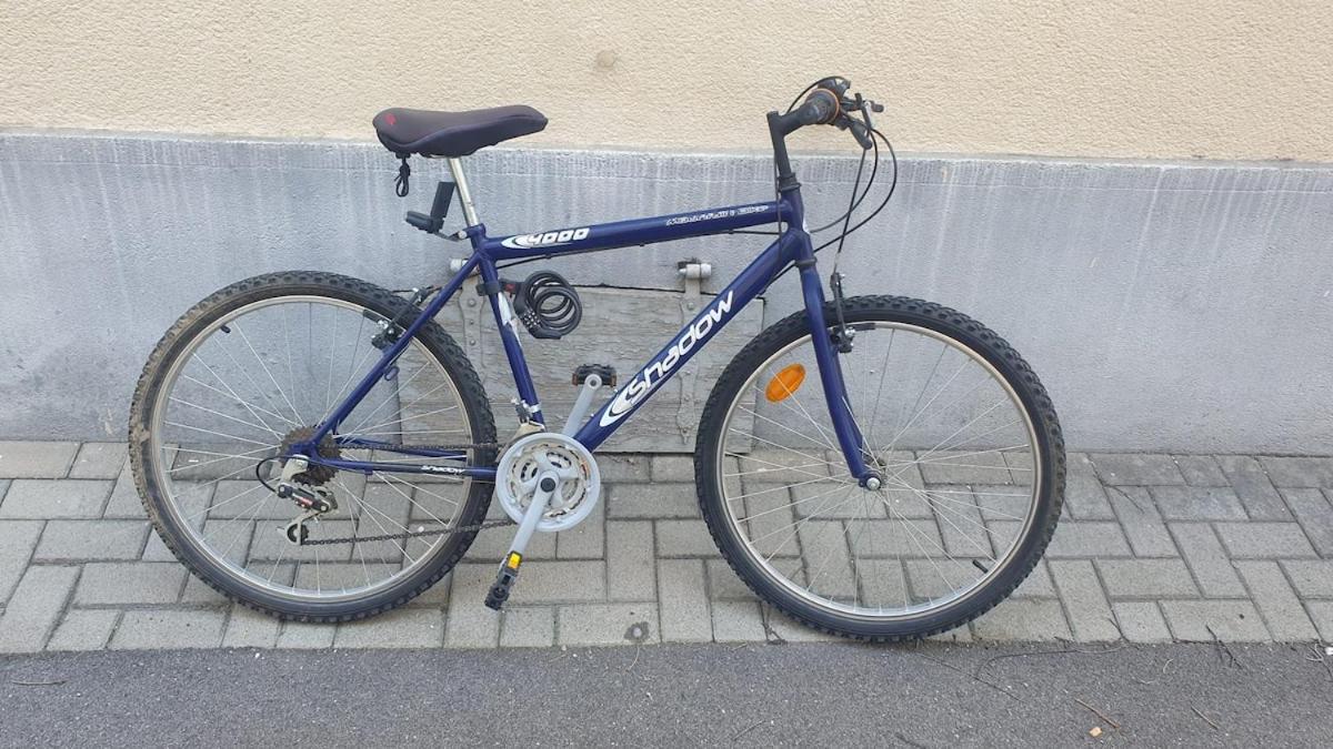 Appartement Mon Ptit Nid T3 Duplex Au Coeur De La Krutenau Straatsburg